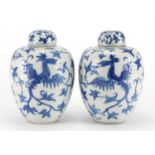 Pair of Chinese blue and white porcelain jars and covers, each hand painted with two phoenixes
