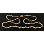 Single string multi coloured freshwater pearl necklace with 9ct gold clasp, 44cm in length,