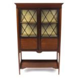 Edwardian inlaid mahogany china cabinet, fitted with a pair of lozenge glazed doors enclosing two