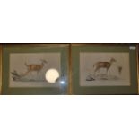 Two vintage early 20th century Edwardian prints of
