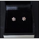 A pair of white gold and diamond daisy cluster earrings complete in presentation box.