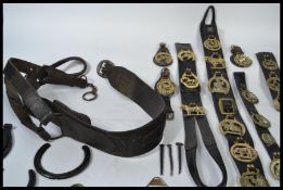 A good collection of horse brass and brasses along with martingales dating from the 19th century