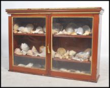 A 19th century mahogany shell cabinet having two glazed doors with gilt painted slips. The cabinet