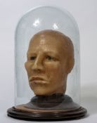 A 19th century death mask of a male in wax, set upon a mahogany turned socle base and covered with a