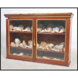 A 19th century mahogany shell cabinet having two g