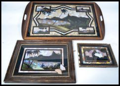 A pair of vintage butterfly wings pictures along with a tray of similar design and form. The tray