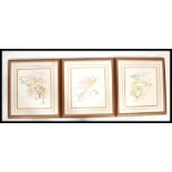 A collection of 3 limited edition Tuscany scene prints all being limited edition with notation in