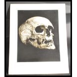 A vintage early 20th century anatomical print / plate of a human skull signed with notation to