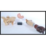 A vintage 20th century Scientific resin life sized model of a Human pelvis along with a model of a