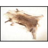 A vintage 20th century Reindeer skin taxidermy floor rug of typical form. Please see images.