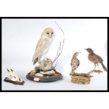 A group of vintage early 20th century taxidermy to include an owl on glass dome plinth base (no
