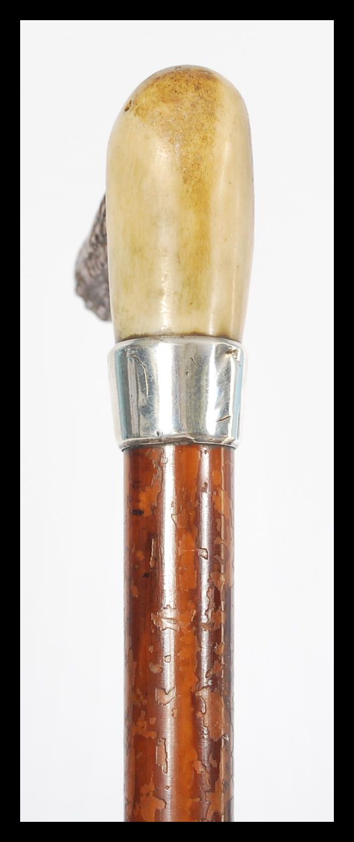 A 19th century Victorian silver hallmarked walking stick cane. The tapering Malacca shaft having a - Image 3 of 7