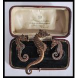 A collection of 3 early 20th century dried seahorses / seahorse to include 2 small and 1 larger.
