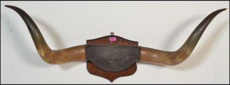 A retro vintage large pair of Texan U.S.A. cattle horns attached to an oak armorial shield, the