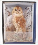 Taxidermy Interest - Circa 1910 - A Victorian early 20th Century Barn Owl on naturalistic base in