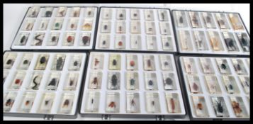 A large collection of approx 85 Scientific insect