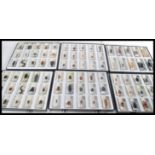 A large collection of approx 85 Scientific insect