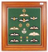 COLLECTION OF WWII AND OTHER CONFLICTS ROYAL AIR FORCE UNIFORM ACCESSORIES