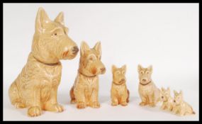 A collection of vintage 20th century SylvaC ceramic graduating dog figurines of brown terriers