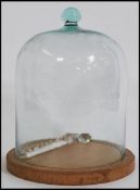 An unusual 20th century glass and wooden base cake  / pastry cloche. The clear bell glass with