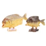 TAXIDERMY DRIED PIRANHA FISH SPECIMENS