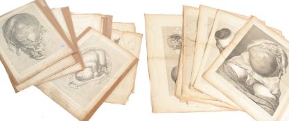 WILLIAM HUNTER ANATOMICAL SURGICAL AND MEDICAL LITHOGRAPHS PLATES
