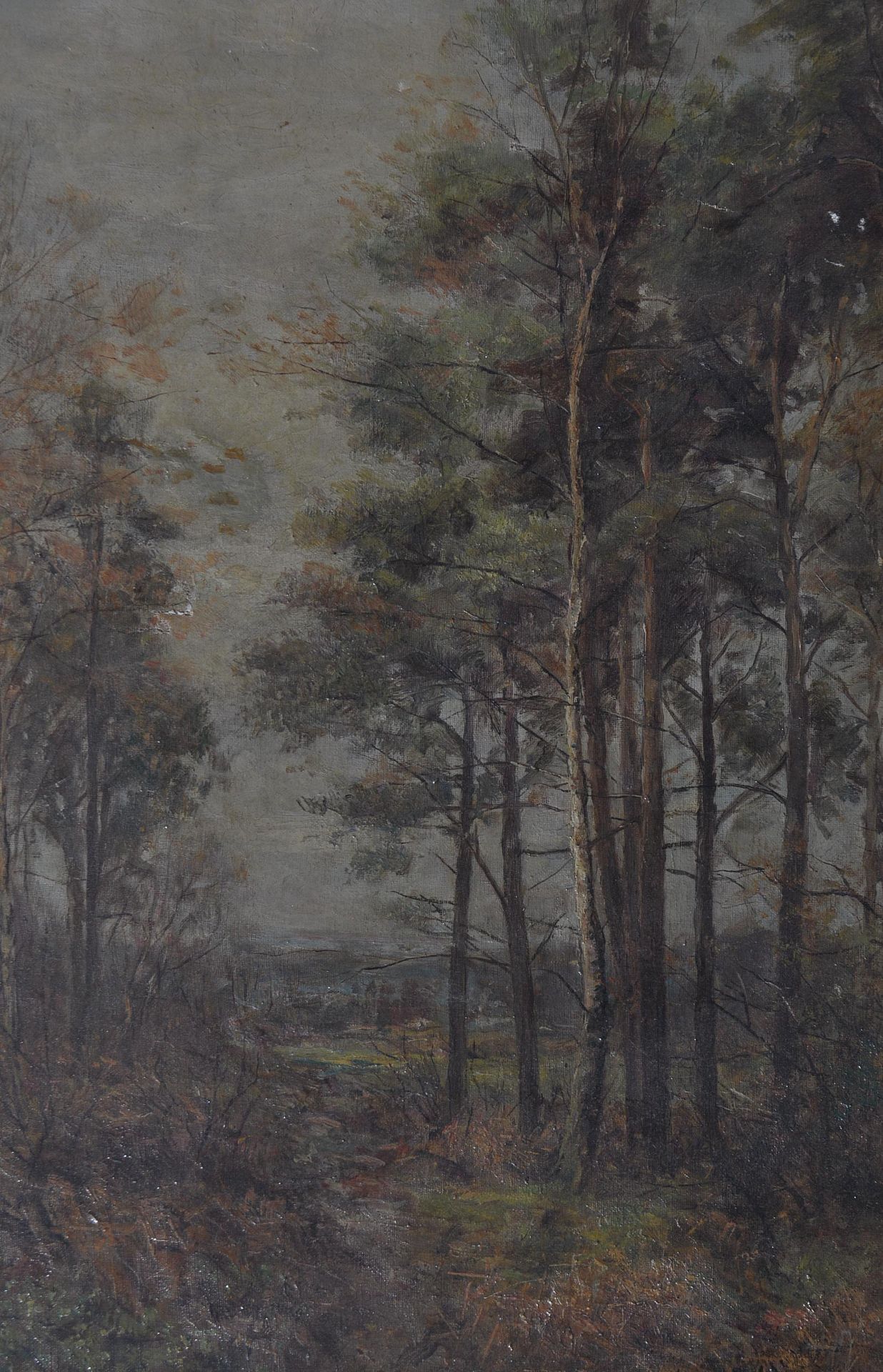 HENRY ROLLETT ( 1800- ) OIL ON CANVAS PAINTING ENGLISH FOREST SCENE