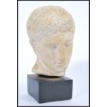 A vintage 20th Century classical style plaster head bust study of David raised on an ebonised