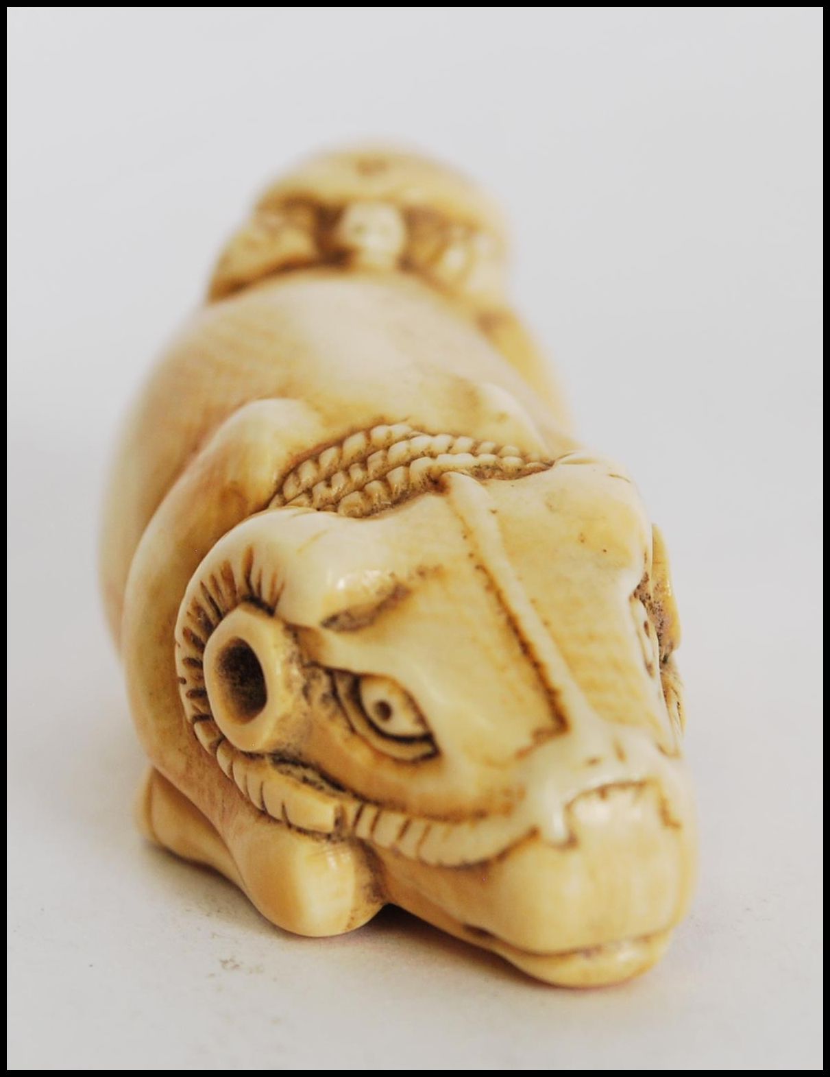 A rare and unusual 19th century Meiji period ivory Netsuke of a crouching / seated ox with - Image 6 of 6