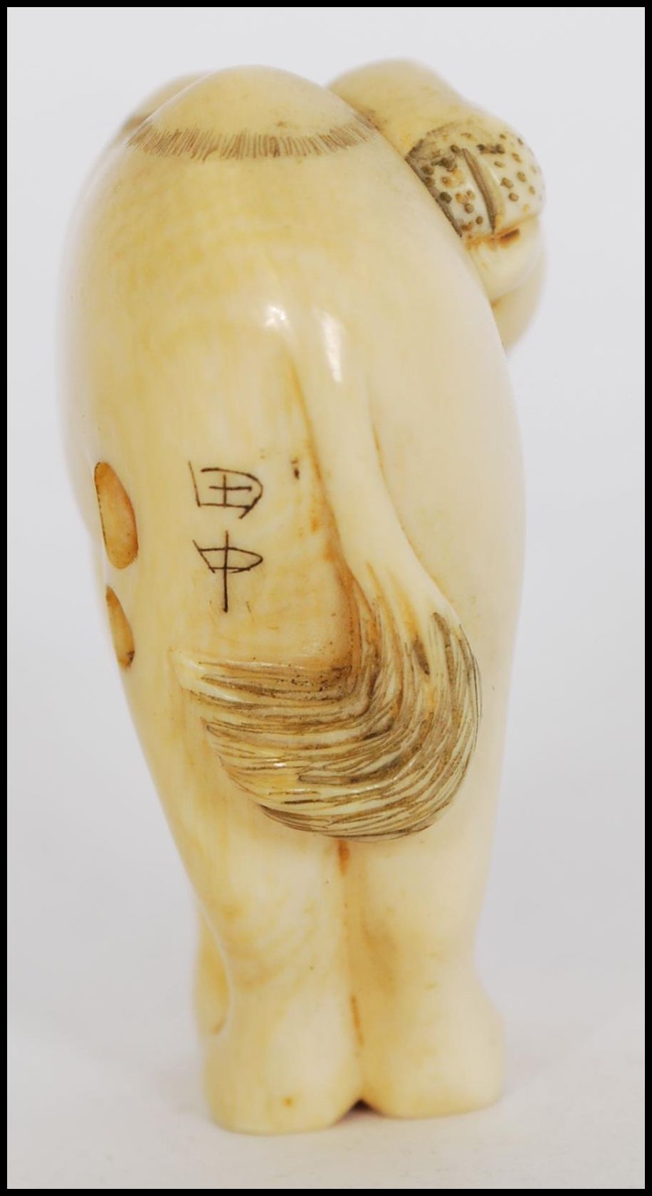 A rare Meiji period ivory Netsuke of a Bactrian camel. The head of the camel turned back standing on - Image 4 of 10