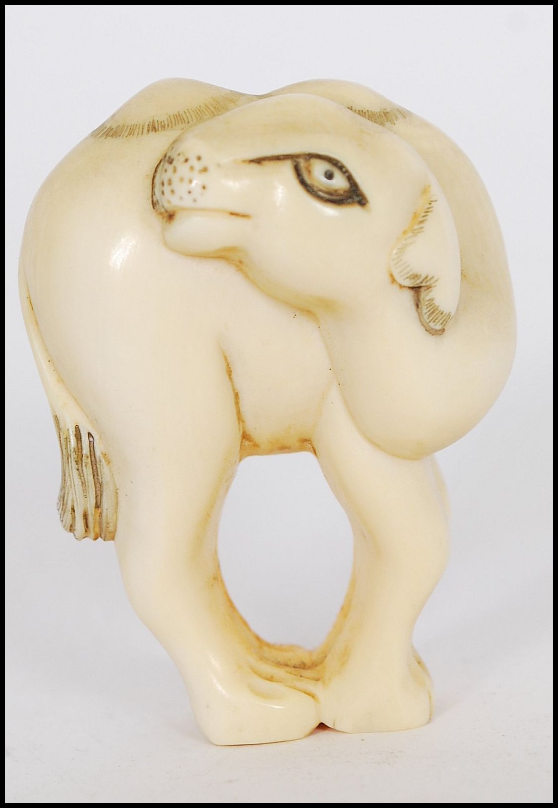 A rare Meiji period ivory Netsuke of a Bactrian camel. The head of the camel turned back standing on
