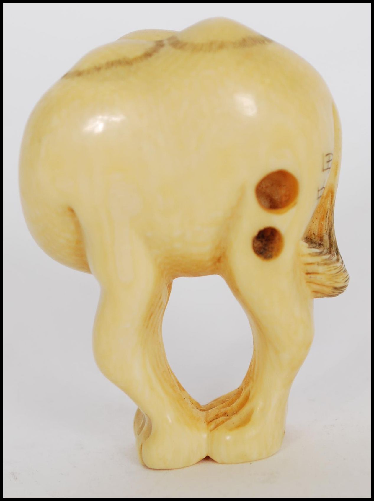 A rare Meiji period ivory Netsuke of a Bactrian camel. The head of the camel turned back standing on - Image 2 of 10