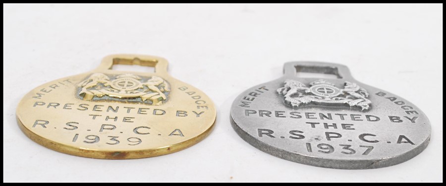 Two vintage 20th Century Horse Brass merit badges, the first cast in aluminium Presented By The R. - Image 2 of 3