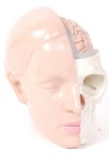 RETRO MEDICAL ANATOMICAL SCIENCE TEACHING AID BY SOMSO GERMANY