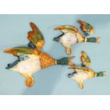 A Beswick set of three graduated flying ducks, 596/1, 596/3, 596/4, (one af).