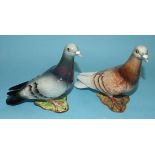 A Beswick model of a Wood Pigeon, no.1383, with label, 14cm high and another in pale brown