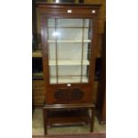 An early-20th century display cabinet, the rectangular top above two glazed sides and door, on