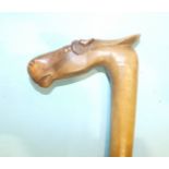 A late-19th century Greek carved fruit wood walking stick, the handle carved as a horse's head and