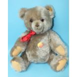 Steiff, 'Brummbär' teddy bear with growler, button in ear and tag attached, 48cm.