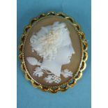 A Victorian shell cameo brooch portraying a bust of Demeter with grapes in her hair and pine cone