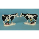 A pair of 19th century English pottery cow creamers standing on shaped bases and with seated