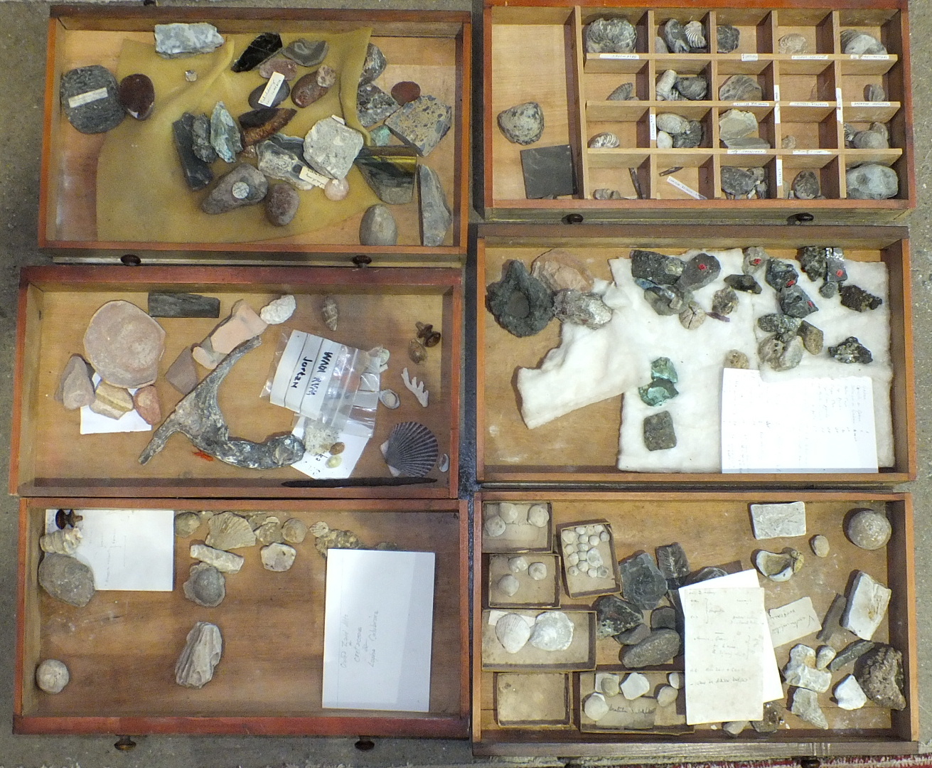 A collection of mineral samples and fossils. - Image 2 of 2