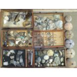 A collection of mineral samples and fossils.