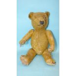 A 1940's teddy bear, possibly Merrythought, with stitched nose, glass eye and dark gold mohair