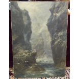 A 19th century oil on canvas painting depicting sea birds resting on a rocky cliff, indistinct