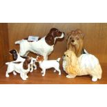 A collection of four Beswick dogs, including: Cocker Spaniel "Horseshoe Primula", liver and white,