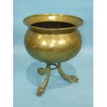 A brass cauldron-shaped coal bucket raised on three swept 'dolphin' legs, 41cm diameter, 49cm high.