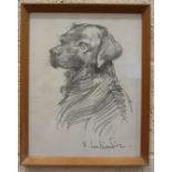 •Robert Oscar Lenkiewicz (1941-2002) COOKRIDGE YARIA, BLACK LABRADOR, HEAD AND SHOULDERS Signed