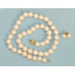 A modern necklace of 45 large cultured pearls with 9ct gold clasp, 45cm long and a pair of similar