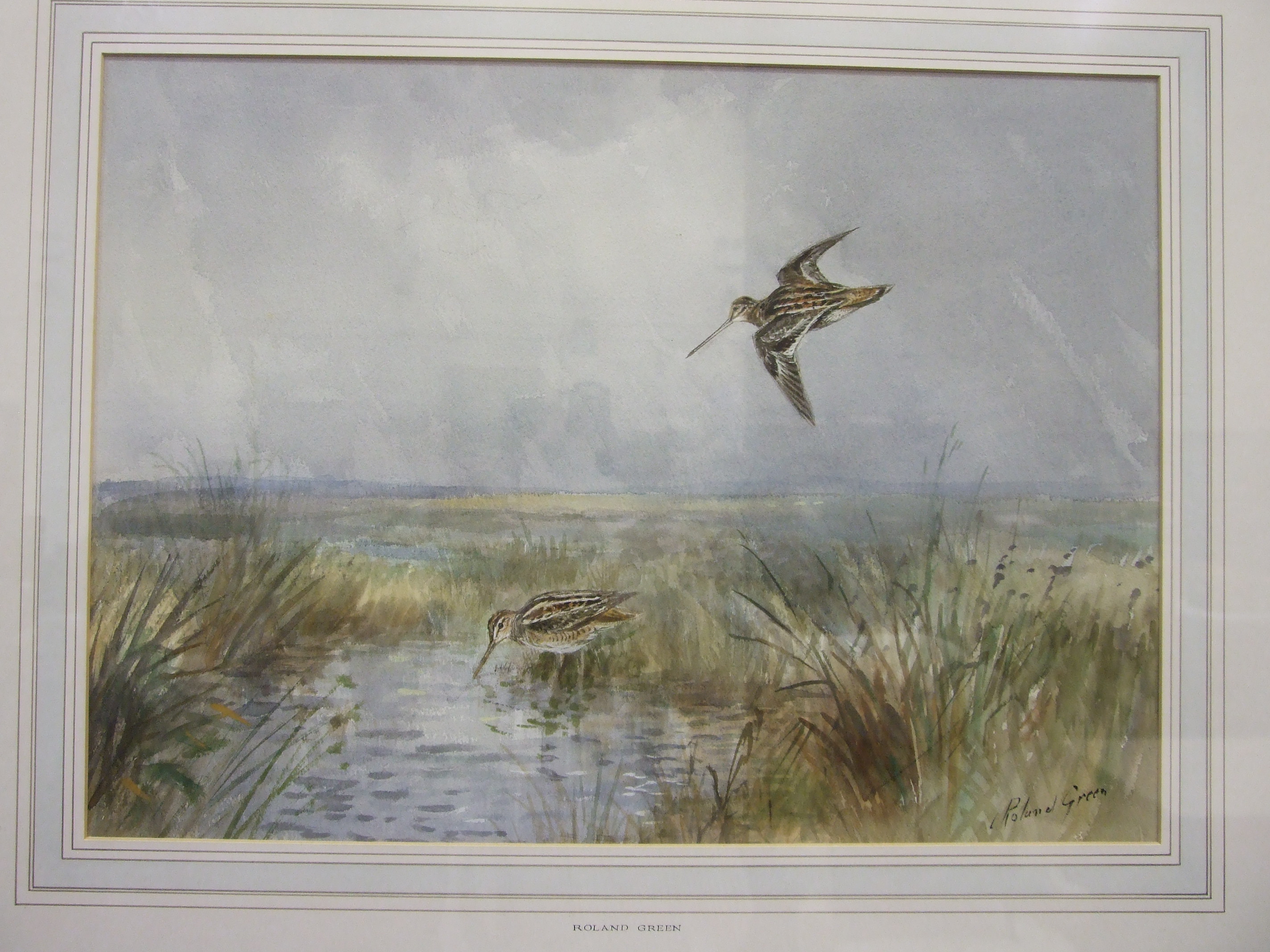 •Roland Green SNIPE Signed watercolour, 32 x 45cm.